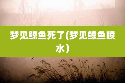 梦见鲸鱼死了(梦见鲸鱼喷水)