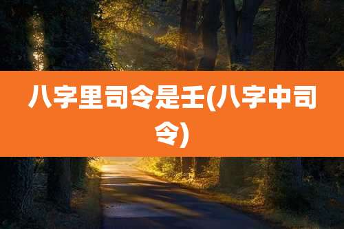 八字里司令是壬(八字中司令)