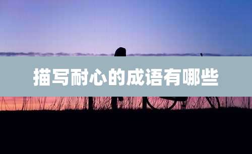 描写耐心的成语有哪些