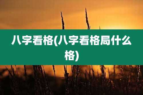 八字看格(八字看格局什么格)