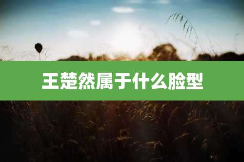 王楚然属于什么脸型