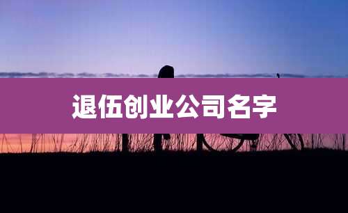 退伍创业公司名字