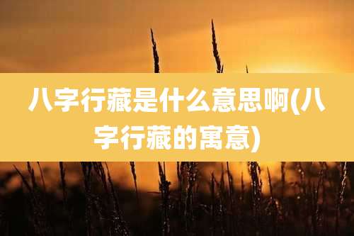 八字行藏是什么意思啊(八字行藏的寓意)