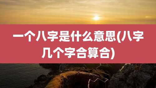 一个八字是什么意思(八字几个字合算合)