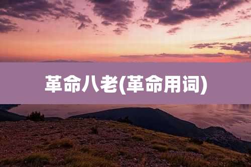 革命八老(革命用词)