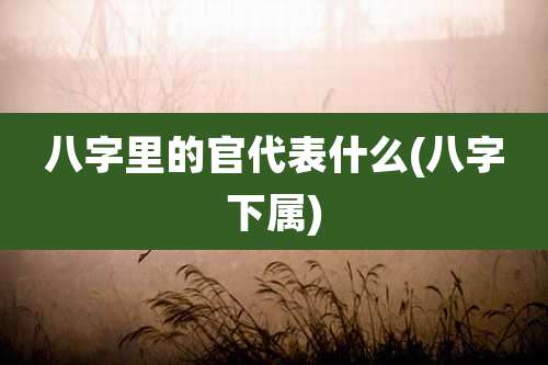 八字里的官代表什么(八字下属)