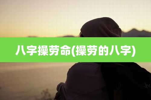 八字操劳命(操劳的八字)