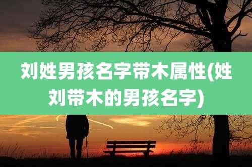 刘姓男孩名字带木属性(姓刘带木的男孩名字)