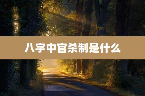 八字中官杀制是什么