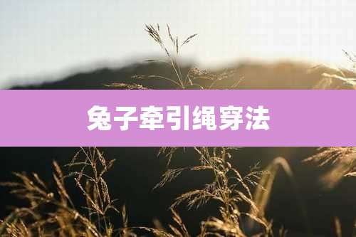 兔子牵引绳穿法