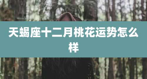 天蝎座十二月桃花运势怎么样