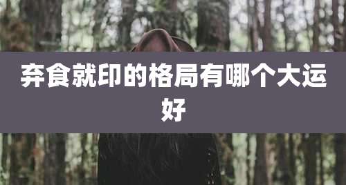 弃食就印的格局有哪个大运好