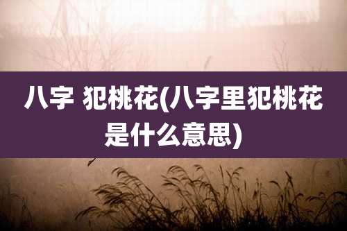 八字 犯桃花(八字里犯桃花是什么意思)