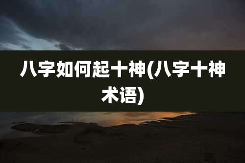 八字如何起十神(八字十神术语)