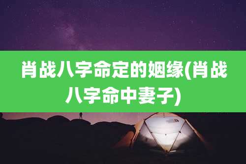 肖战八字命定的姻缘(肖战八字命中妻子)