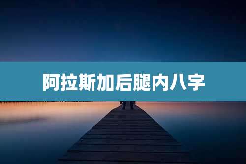 阿拉斯加后腿内八字