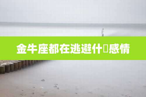 金牛座都在逃避什麼感情