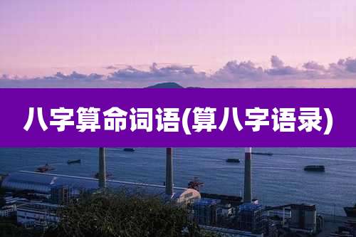 八字算命词语(算八字语录)
