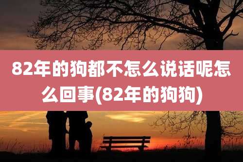 82年的狗都不怎么说话呢怎么回事(82年的狗狗)