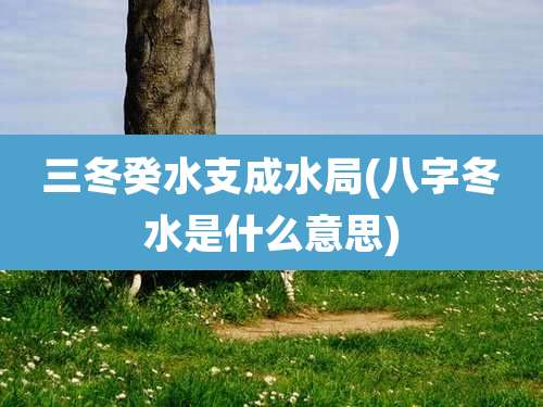 三冬癸水支成水局(八字冬水是什么意思)