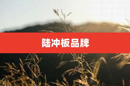 陆冲板品牌