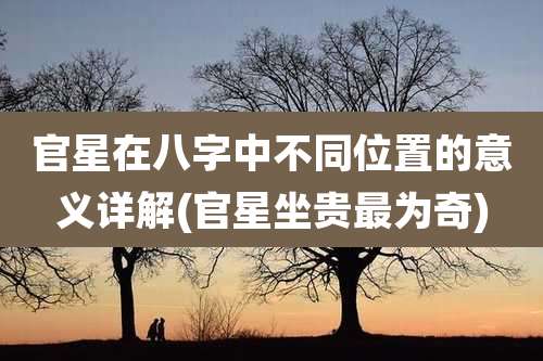 官星在八字中不同位置的意义详解(官星坐贵最为奇)