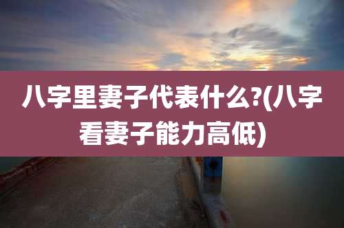 八字里妻子代表什么?(八字看妻子能力高低)