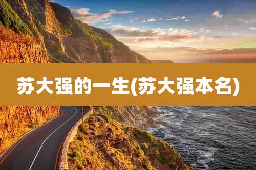 苏大强的一生(苏大强本名)