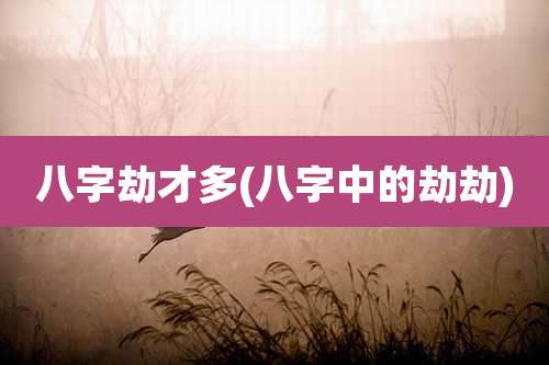 八字劫才多(八字中的劫劫)