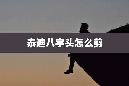 泰迪八字头怎么剪