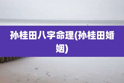 孙桂田八字命理(孙桂田婚姻)