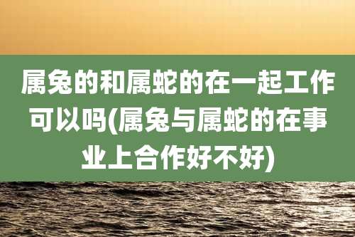 属兔的和属蛇的在一起工作可以吗(属兔与属蛇的在事业上合作好不好)