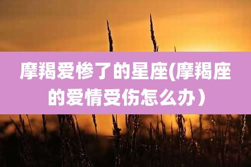 摩羯爱惨了的星座(摩羯座的爱情受伤怎么办)