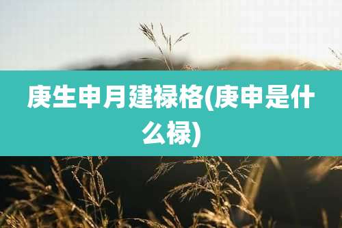 庚生申月建禄格(庚申是什么禄)