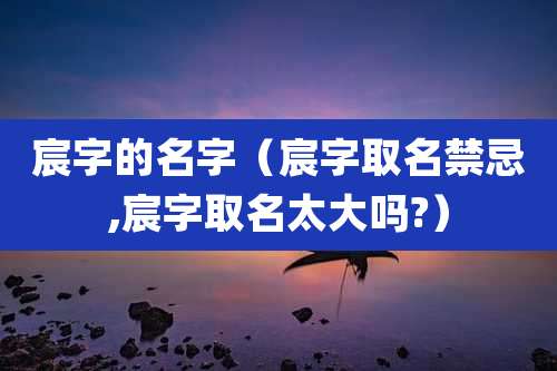 宸字的名字(宸字取名禁忌,宸字取名太大吗?)