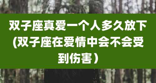 双子座真爱一个人多久放下(双子座在爱情中会不会受到伤害)