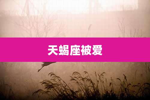 天蝎座被爱