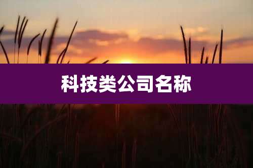 科技类公司名称
