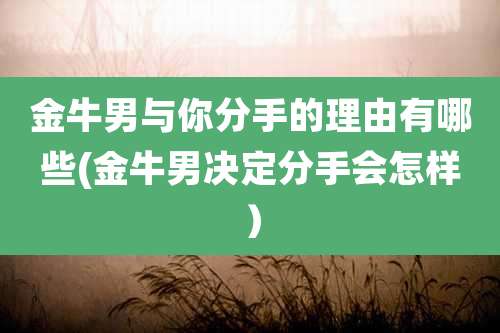 金牛男与你分手的理由有哪些(金牛男决定分手会怎样)