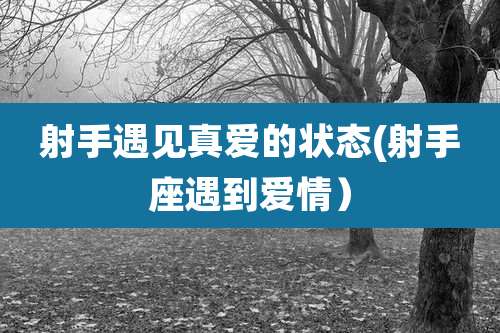 射手遇见真爱的状态(射手座遇到爱情)