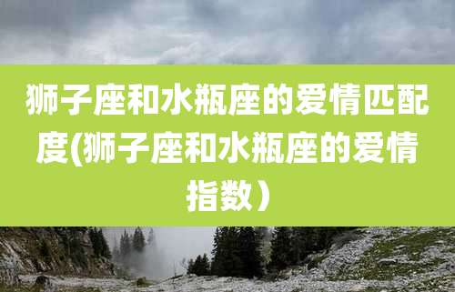 狮子座和水瓶座的爱情匹配度(狮子座和水瓶座的爱情指数)