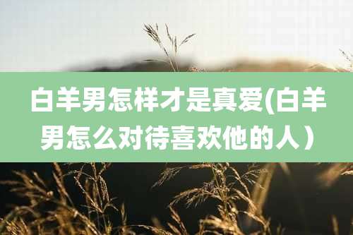 白羊男怎样才是真爱(白羊男怎么对待喜欢他的人）