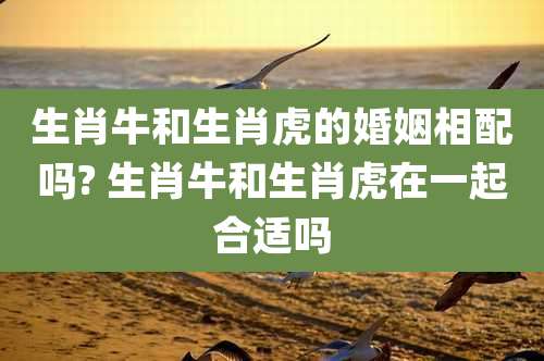 生肖牛和生肖虎的婚姻相配吗? 生肖牛和生肖虎在一起合适吗
