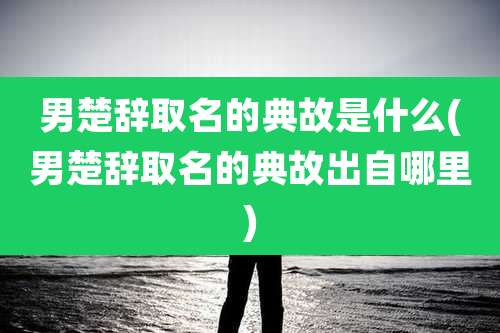 男楚辞取名的典故是什么(男楚辞取名的典故出自哪里)