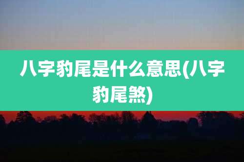 八字豹尾是什么意思(八字豹尾煞)