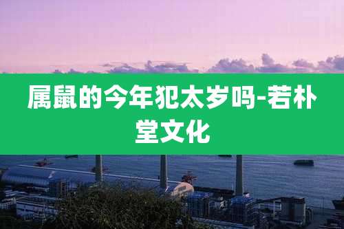 属鼠的今年犯太岁吗-若朴堂文化