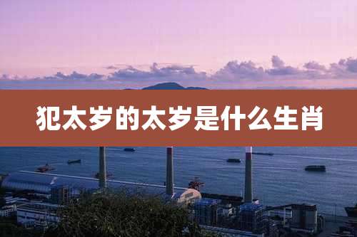 犯太岁的太岁是什么生肖