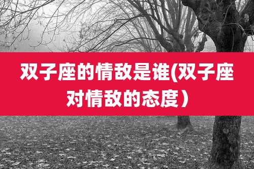 双子座的情敌是谁(双子座对情敌的态度）