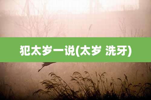 犯太岁一说(太岁 洗牙)