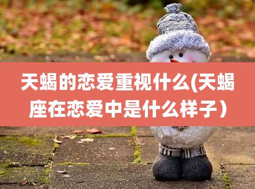 天蝎的恋爱重视什么(天蝎座在恋爱中是什么样子)